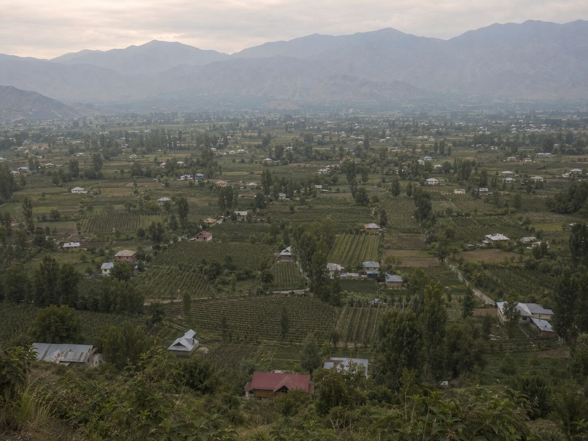 A wide valley of orchard smallholdings in low haze at first light, houses and poplar rows between the plots, mountains behind.