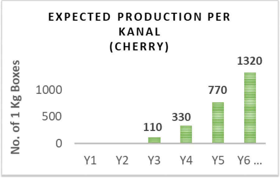 expected production (cherry)