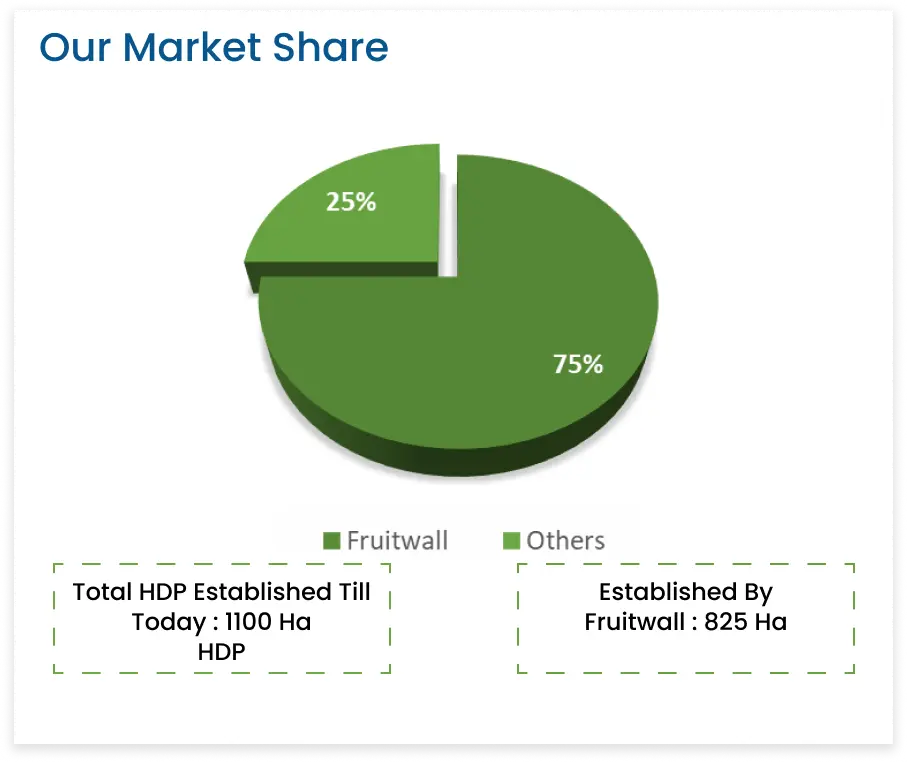 market share