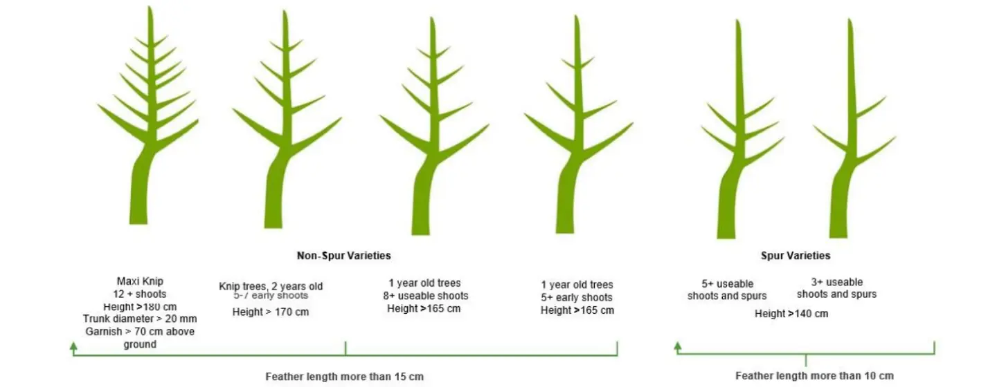 nursery_quality_categories